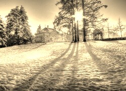 Szary + Sepia