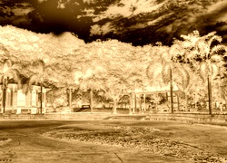 Sepia + Negatyw
