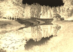 Sepia + Negatyw