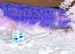 Negatyw