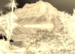 Sepia + Negatyw