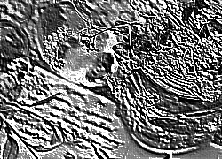 Skamielina