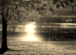 Szary + Sepia