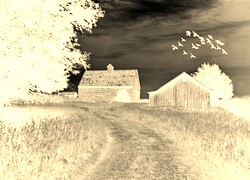 Sepia + Negatyw