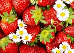 Oryginalny obrazek