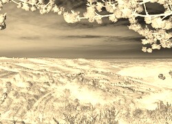 Sepia + Negatyw