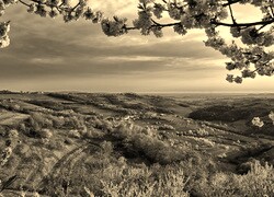 Sepia