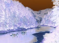 Negatyw