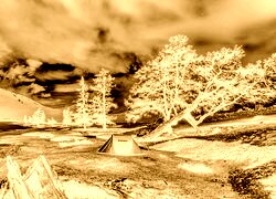 Sepia + Negatyw