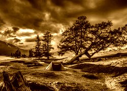 Sepia