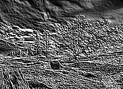 Skamielina