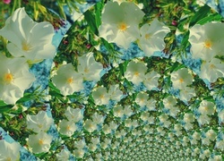 Oryginalny obrazek