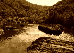 Sepia