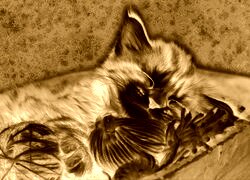Sepia + Negatyw