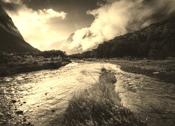 Szary + Sepia