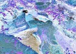 Negatyw