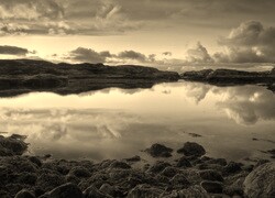 Szary + Sepia
