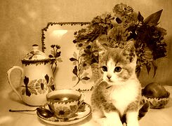 Sepia