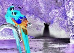 Negatyw