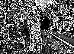 Skamielina