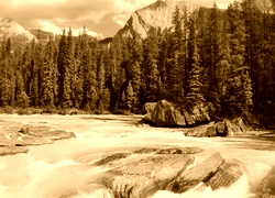 Sepia