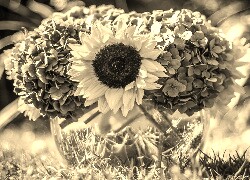 Szary + Sepia