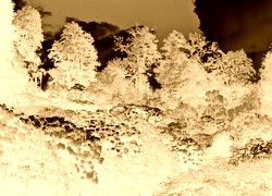 Sepia + Negatyw