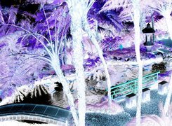 Negatyw