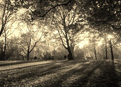Szary + Sepia