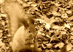Sepia