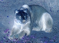 Negatyw