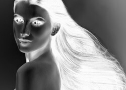 Szary + Negatyw