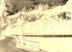 Sepia + Negatyw
