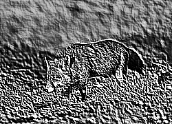 Skamielina