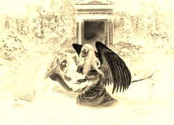Sepia + Negatyw