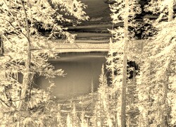 Sepia + Negatyw