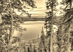 Szary + Sepia