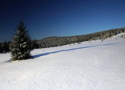 Oryginalny obrazek