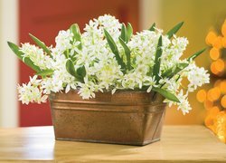 Oryginalny obrazek