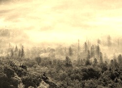 Szary + Sepia