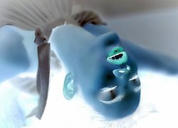 Negatyw