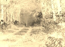 Sepia + Negatyw