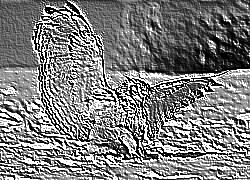 Skamielina
