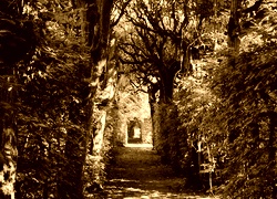 Sepia