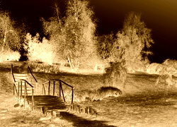 Sepia + Negatyw