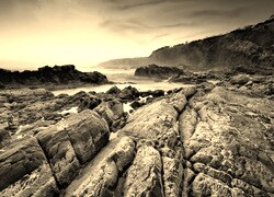 Szary + Sepia