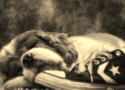 Szary + Sepia
