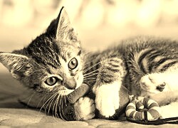 Sepia