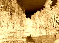 Sepia + Negatyw