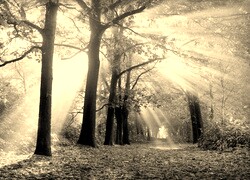 Sepia